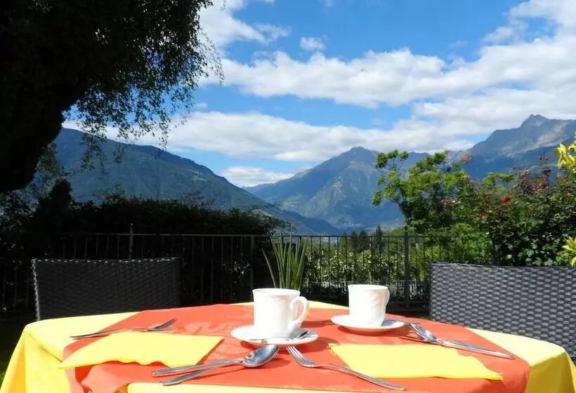 Fotos del hotel Pension Verdorfer:  5