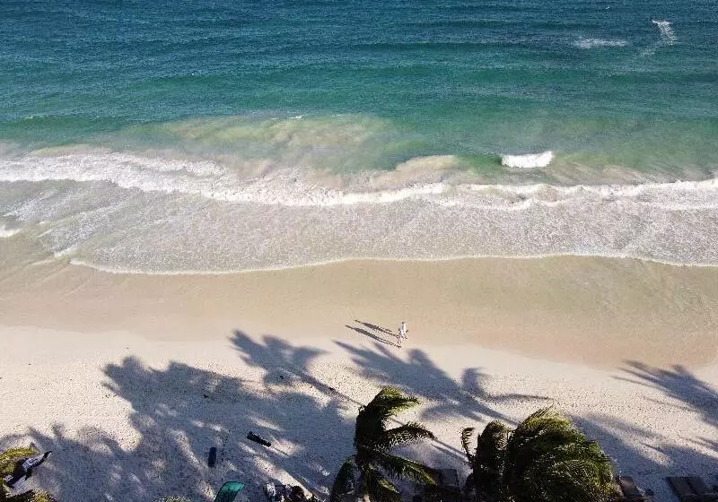 Fotos del hotel Chiringuito Tulum:  6