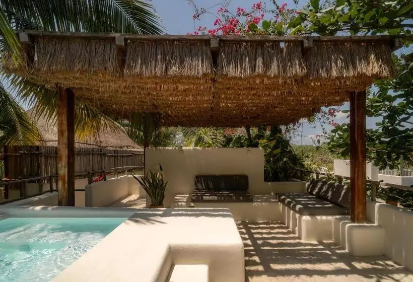Fotos del hotel Chiringuito Tulum:  3