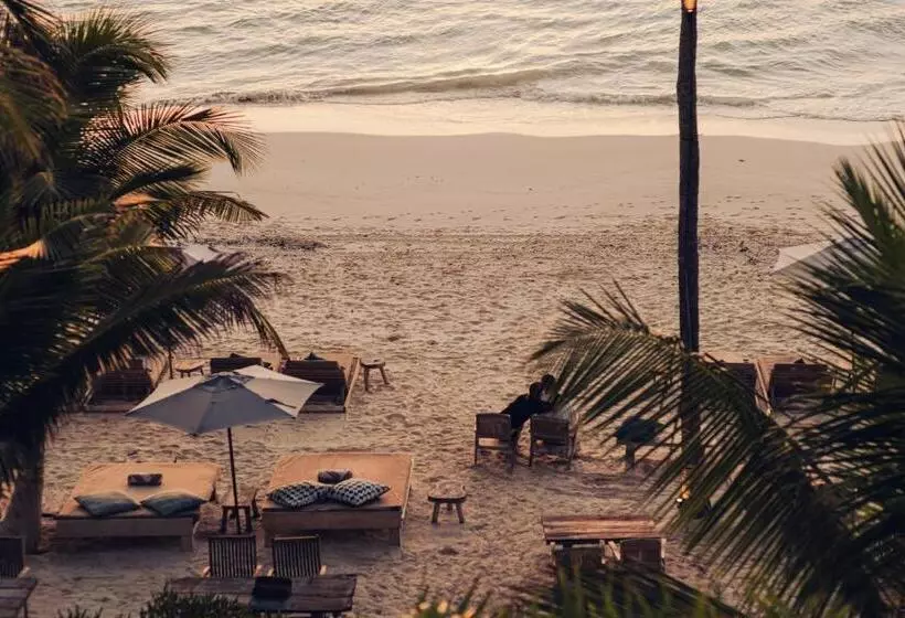 Fotos del hotel Chiringuito Tulum:  10