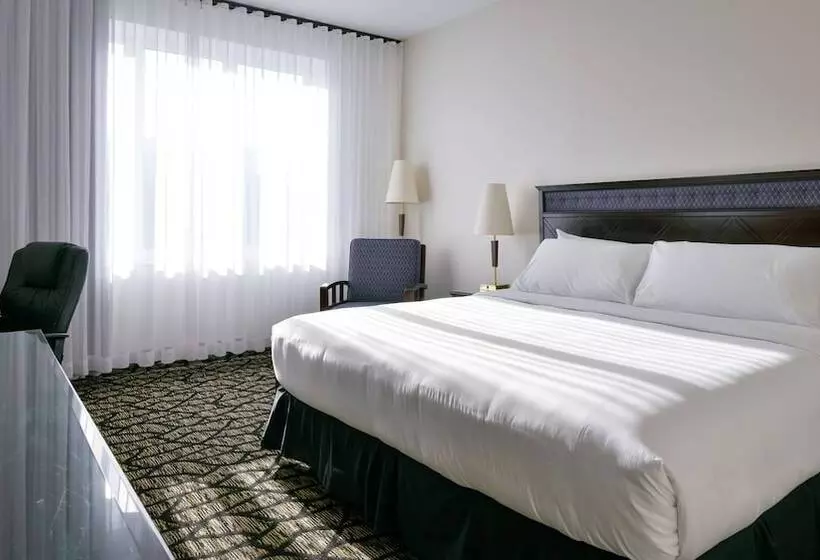 Fotos del hotel Empire Suites:  22