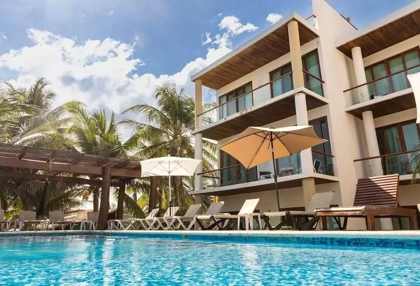 Fotos del hotel Aquastar Hotel & Apartments:  16