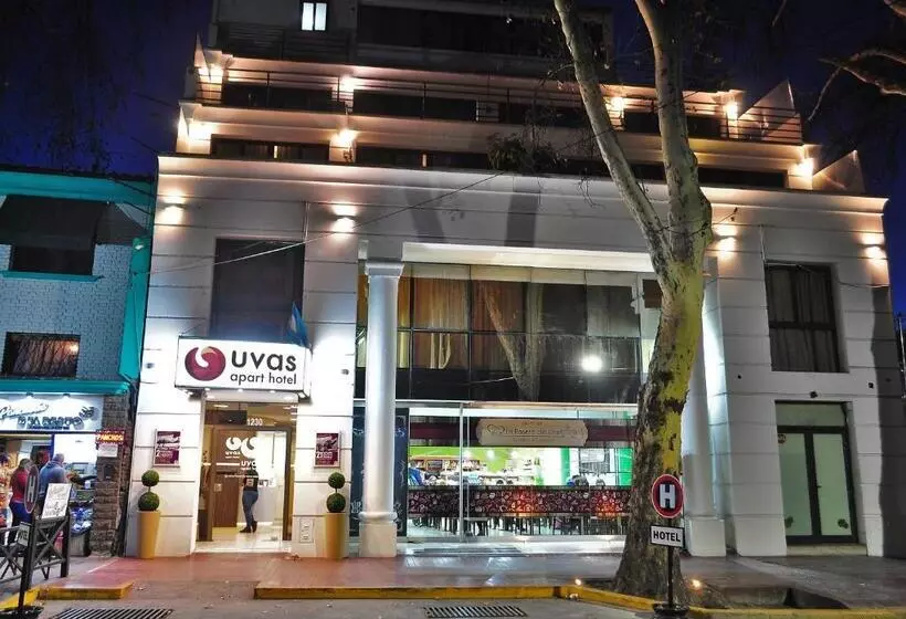 Fotos del hotel Uvas Apart:  6