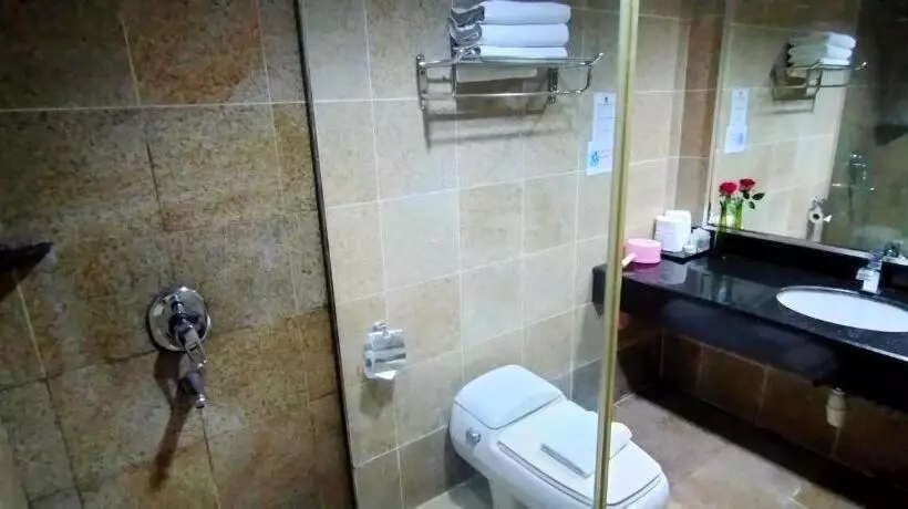 Fotos del hotel Td Plaza:  23