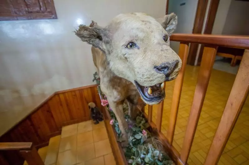 Fotos del hotel Diplomate:  1