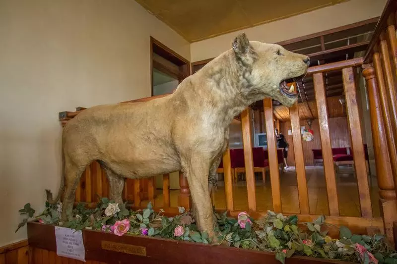 Fotos del hotel Diplomate:  16