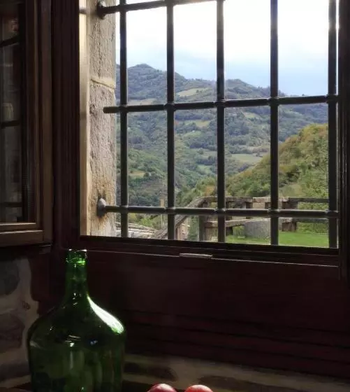 Fotos del hotel Casona De El Castañíu:  5
