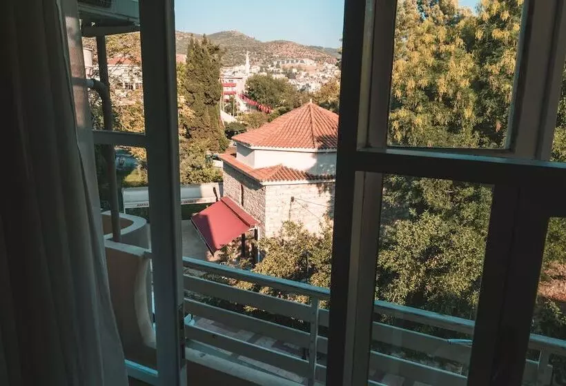 Fotos del hotel Nicea:  8