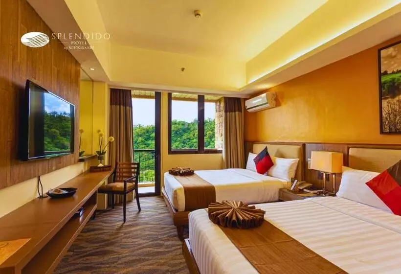 Fotos del hotel Splendido:  13