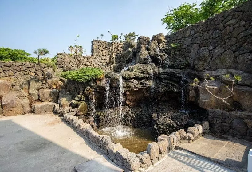 Fotos del hotel Sea & Hill Spa Pension:  12