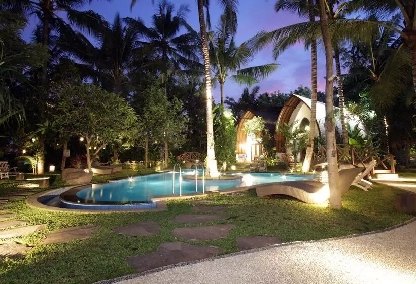 Fotos del hotel Green Bird Villa:  10