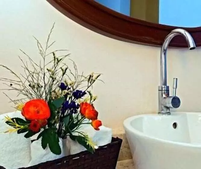 Fotos del hotel Hacienda Y Glamping La Carlotta:  5