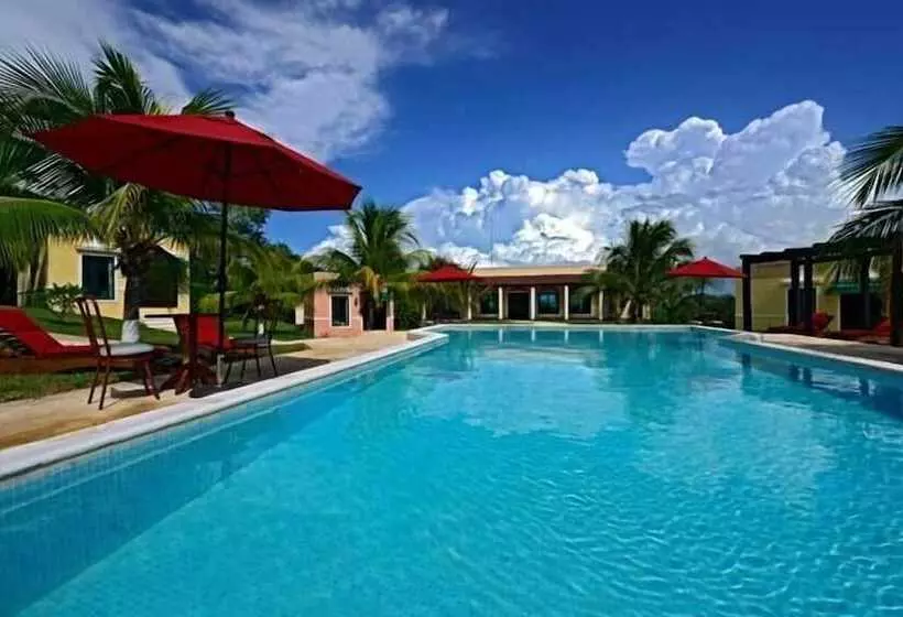 Fotos del hotel Hacienda Y Glamping La Carlotta:  15