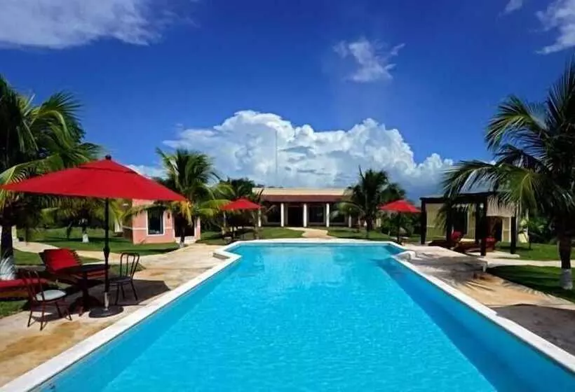 Fotos del hotel Hacienda Y Glamping La Carlotta:  8