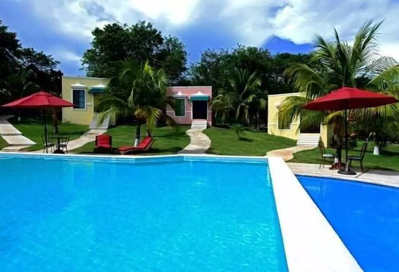 Fotos del hotel Hacienda Y Glamping La Carlotta:  12