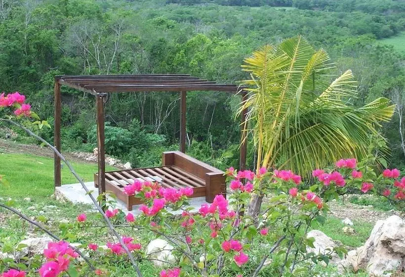 Fotos del hotel Hacienda Y Glamping La Carlotta:  21