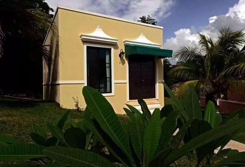 Fotos del hotel Hacienda Y Glamping La Carlotta:  14