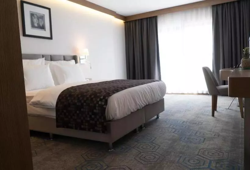 Fotos del hotel Yuksel Istanbul Yenikapi:  5