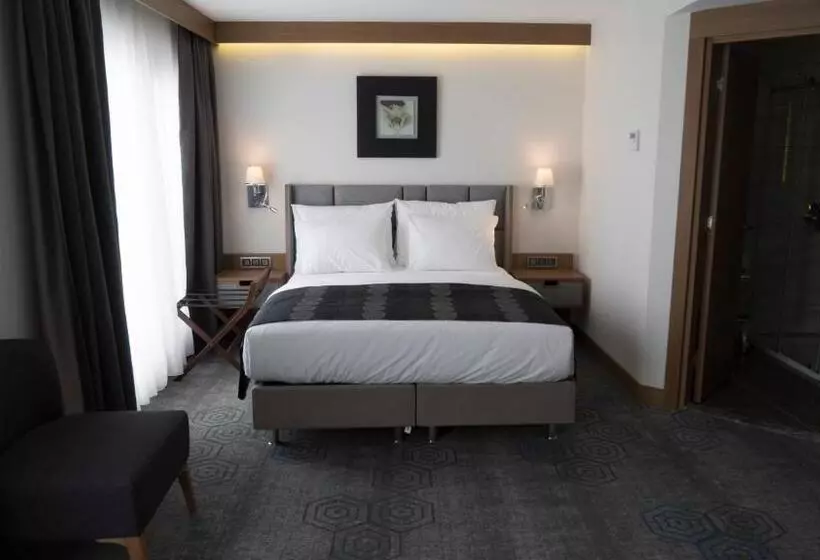 Fotos del hotel Yuksel Istanbul Yenikapi:  7