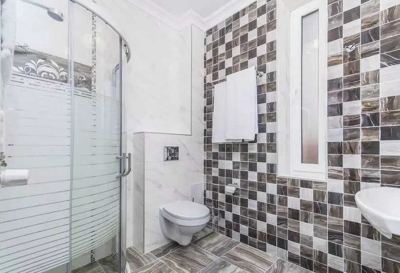 Fotos del hotel Park Lane:  17