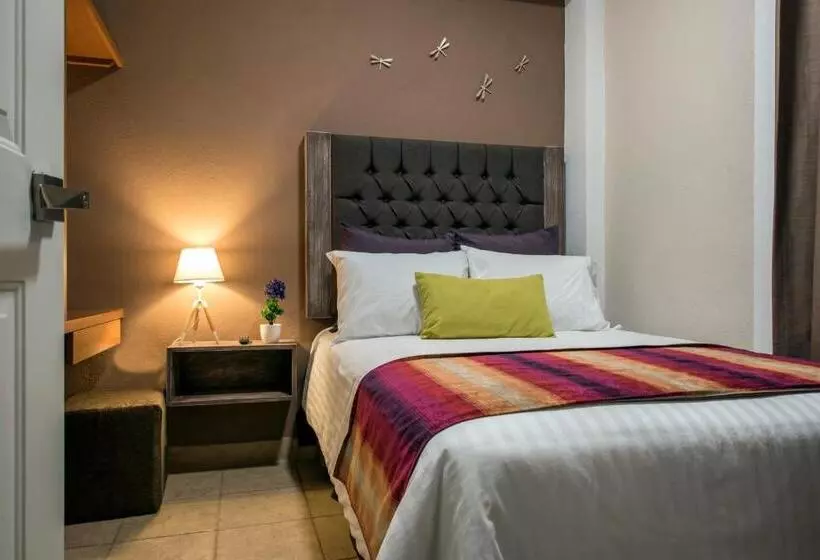 Fotos del hotel Casa Aurora:  6