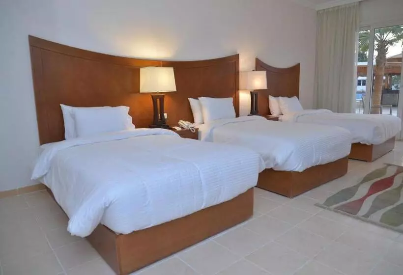 Fotos del hotel Old Vic Sharm Resort Families And Couples Only:  12