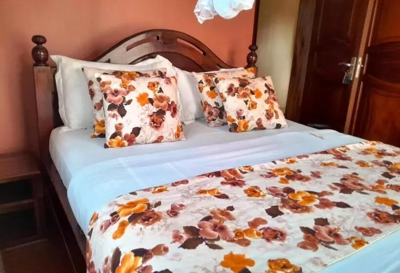 Fotos del hotel Olina Hotel And Apartments:  22