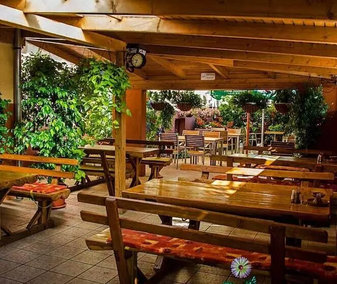 Fotos del hotel Arany Patkó Panzió & étterem:  19