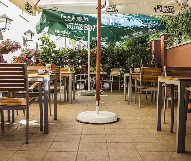 Fotos del hotel Arany Patkó Panzió & étterem:  22