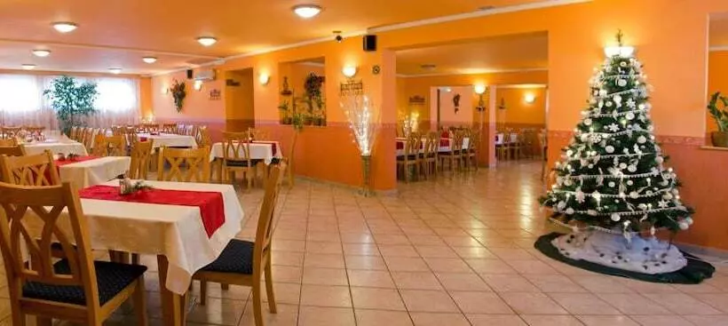 Fotos del hotel Arany Patkó Panzió & étterem:  13