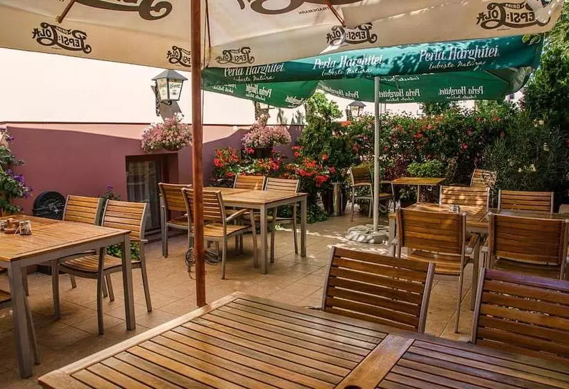 Fotos del hotel Arany Patkó Panzió & étterem:  14