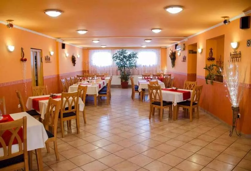 Fotos del hotel Arany Patkó Panzió & étterem:  8