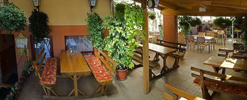 Fotos del hotel Arany Patkó Panzió & étterem:  24