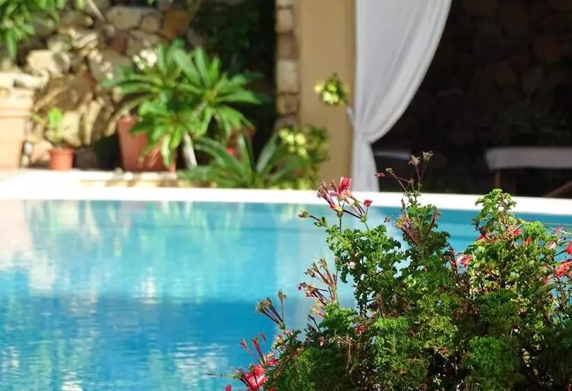 Fotos del hotel Mariposas:  10