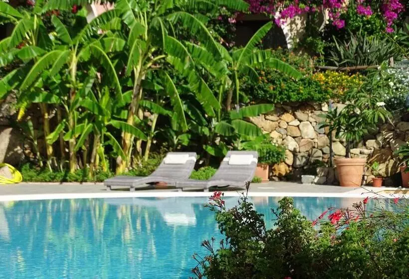 Fotos del hotel Mariposas:  3