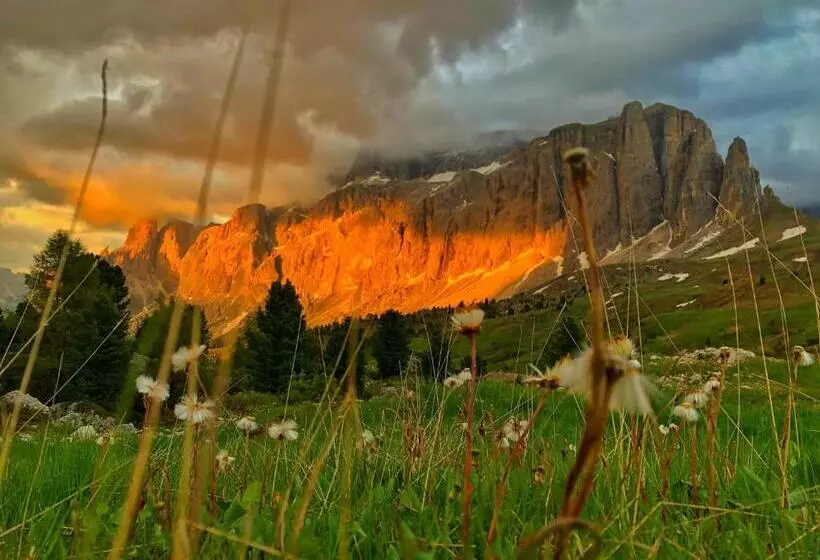 Fotos del hotel Passo Sella Dolomiti Mountain Resort:  12
