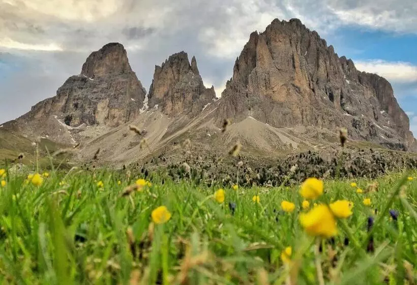 Fotos del hotel Passo Sella Dolomiti Mountain Resort:  7