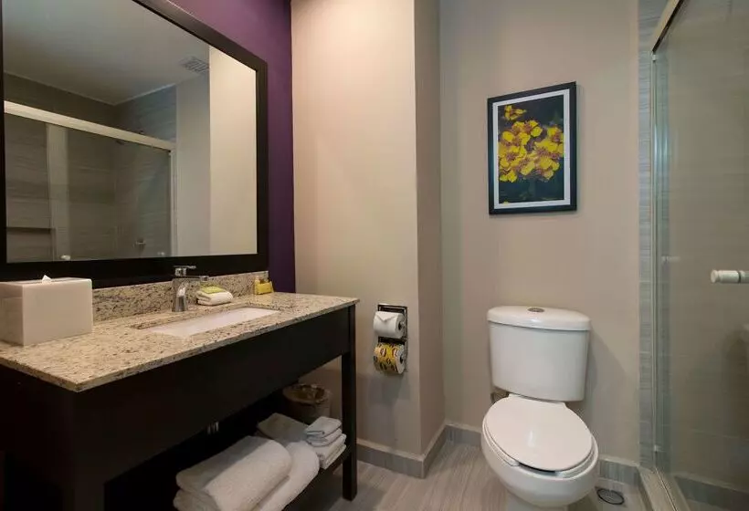 Fotos del hotel La Quinta By Wyndham Monterrey Aeropuerto:  8
