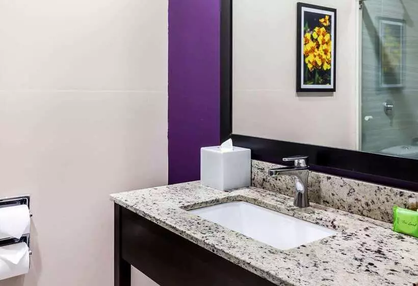 Fotos del hotel La Quinta By Wyndham Monterrey Aeropuerto:  15