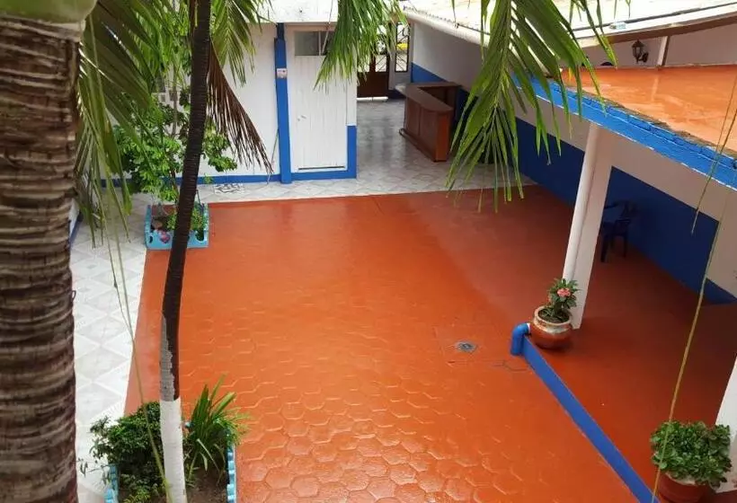 Fotos del hotel Carruiz:  9
