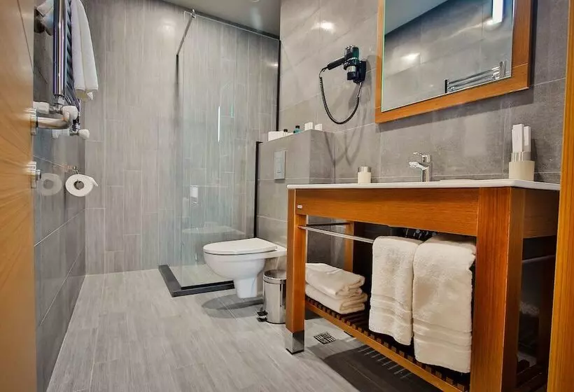 Fotos del hotel Ameri Plaza Tbilisi:  9