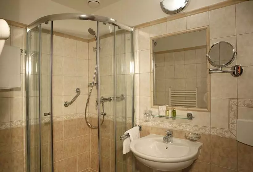 Fotos del hotel Bristol Kralovska Vila:  6