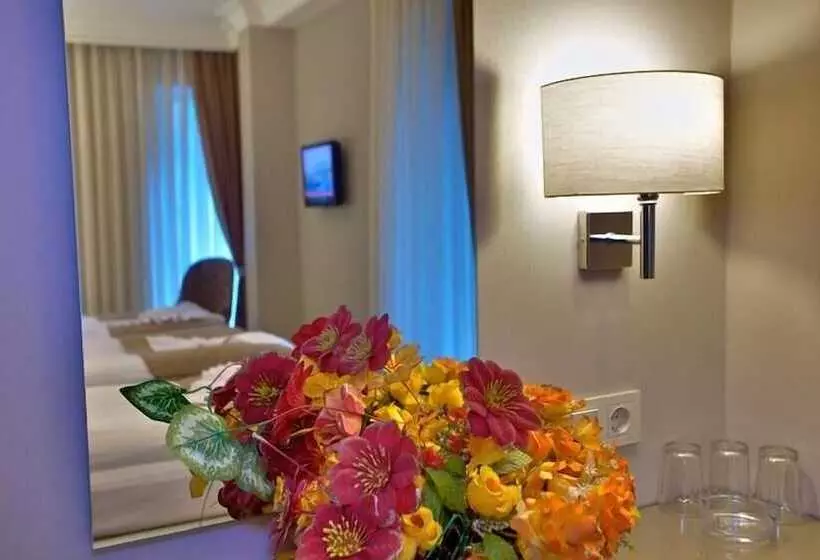 Fotos del hotel Laleli Emin:  25