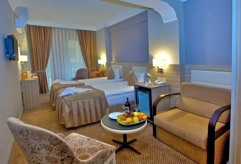 Fotos del hotel Laleli Emin:  4