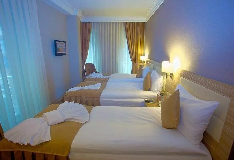 Fotos del hotel Laleli Emin:  6