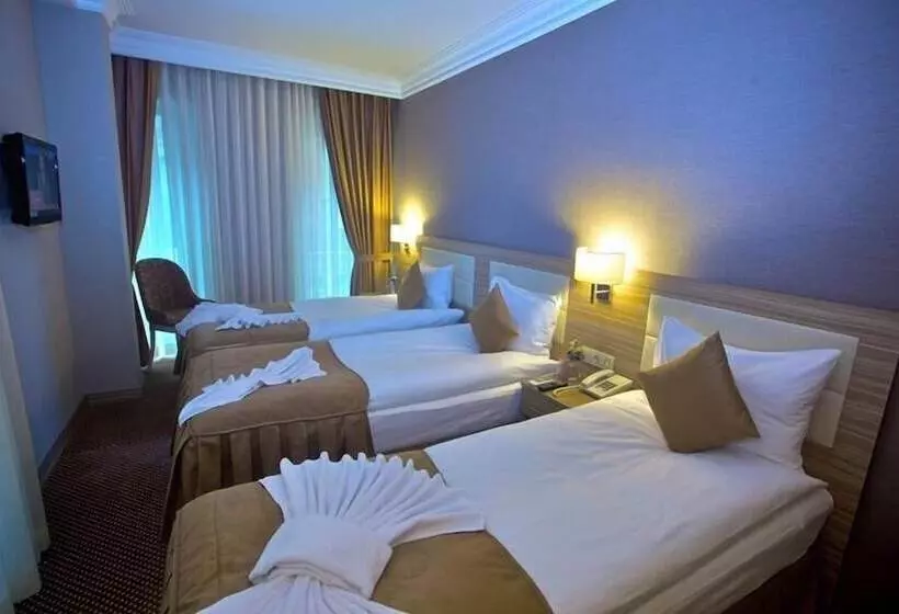 Fotos del hotel Laleli Emin:  19