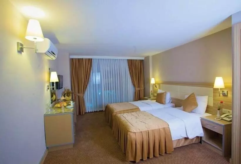 Fotos del hotel Laleli Emin:  2