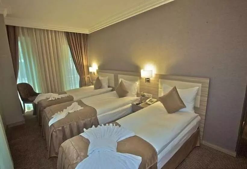 Fotos del hotel Laleli Emin:  18