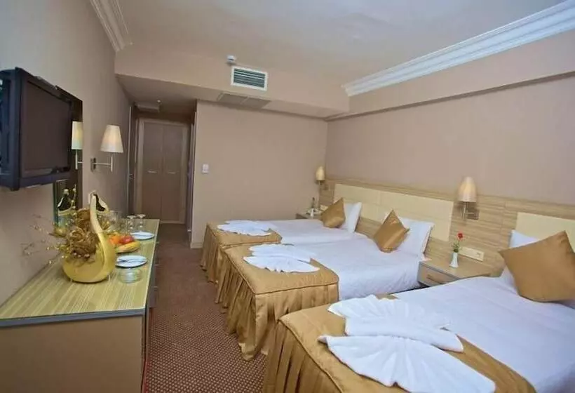 Fotos del hotel Laleli Emin:  12