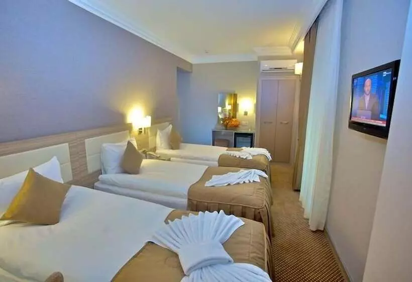 Fotos del hotel Laleli Emin:  13